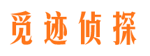 丰都市侦探公司